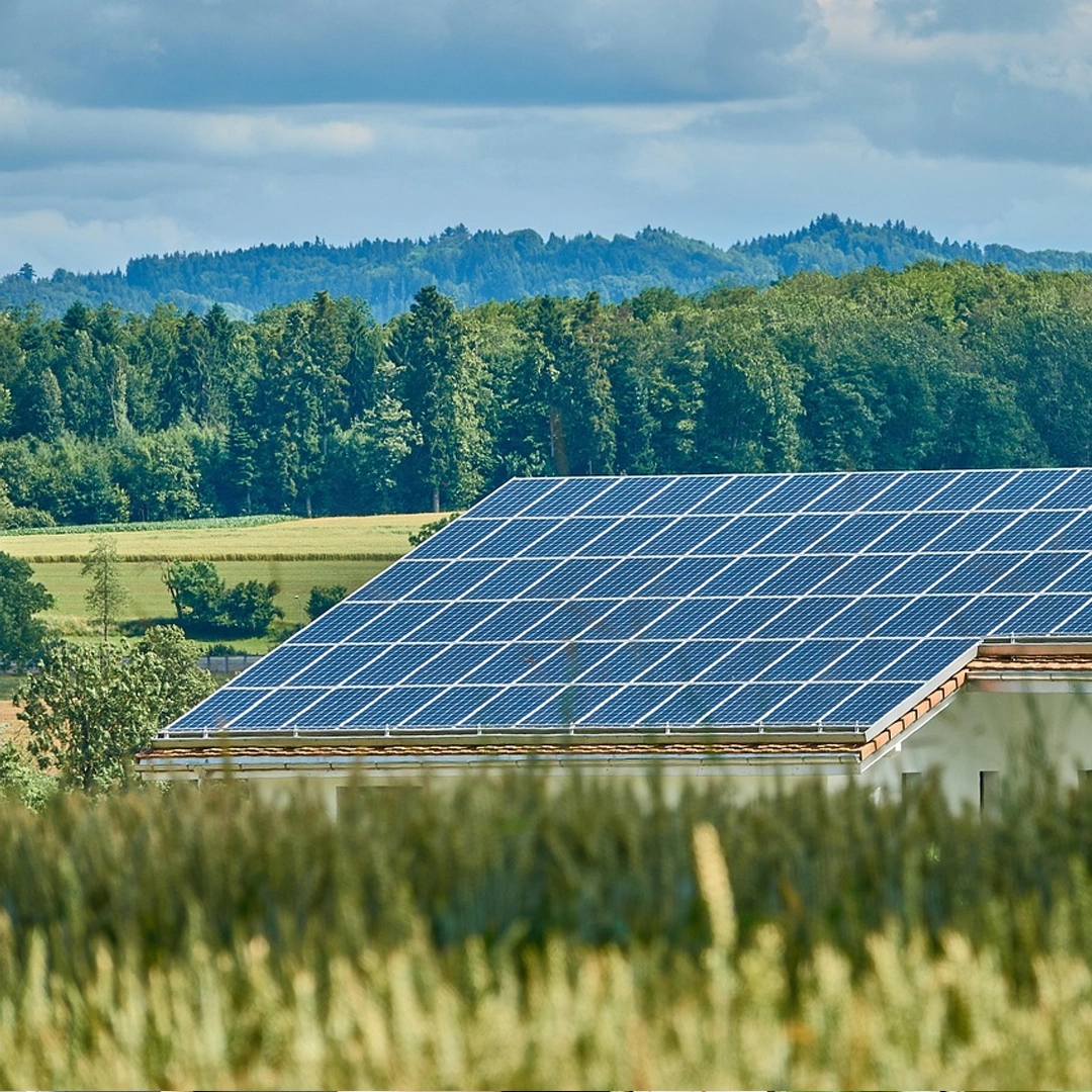 Demo Proje Başlığı 1